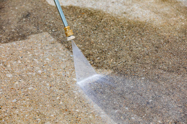 Best Sidewalk and Walkway Cleaning  in Bear, DE