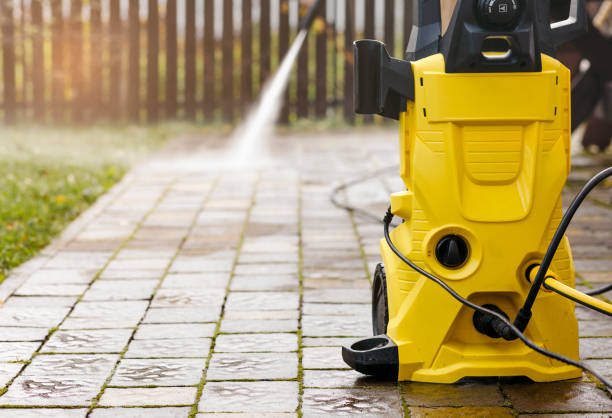 Animal Enclosure Cleaning in Bear, DE